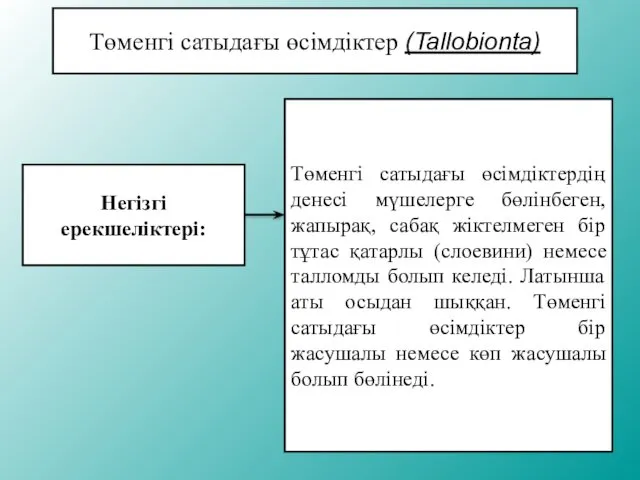 Төменгі сатыдағы өсімдіктер (Tallobionta) Негізгі ерекшеліктері: Төменгі сатыдағы өсімдіктердің денесі