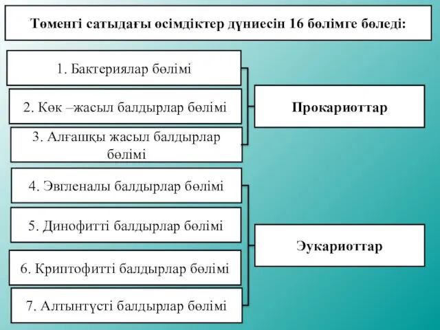 Төменгі сатыдағы өсімдіктер дүниесін 16 бөлімге бөледі: 1. Бактериялар бөлімі