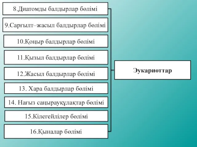 8.Диатомды балдырлар бөлімі 9.Сарғылт–жасыл балдырлар бөлімі 10.Қоңыр балдырлар бөлімі 11.Қызыл