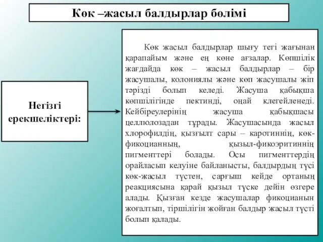 Көк –жасыл балдырлар бөлімі Негізгі ерекшеліктері: Көк жасыл балдырлар шығу