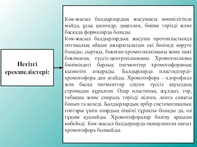 Негізгі ерекшеліктері: Көк-жасыл балдырлардың жасушасы көпшілігінде майда, ұсақ цилиндр, дөңгелек,