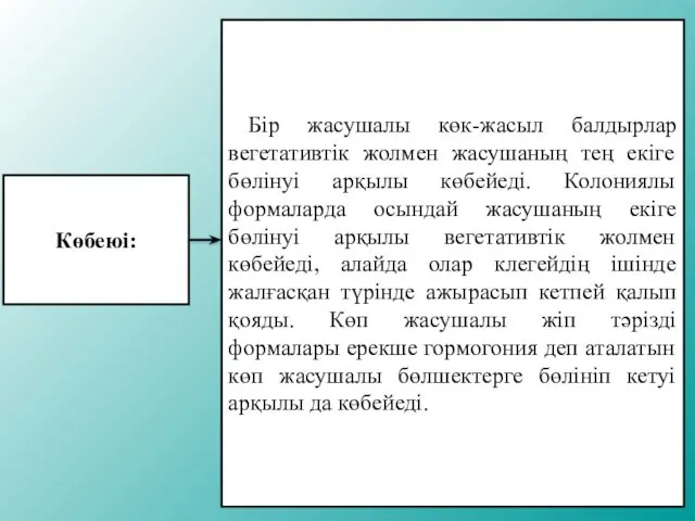 Көбеюі: Бір жасушалы көк-жасыл балдырлар вегетативтік жолмен жасушаның тең екіге