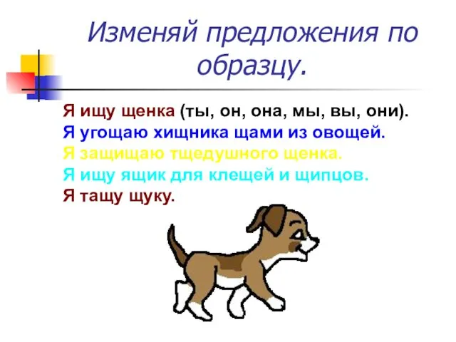 Изменяй предложения по образцу. Я ищу щенка (ты, он, она, мы, вы, они).