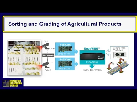 Sorting and Grading of Agricultural Products