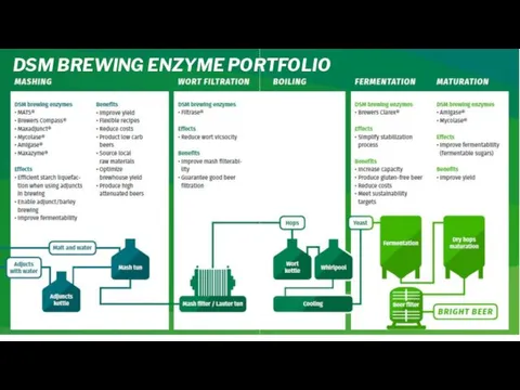 DSM BREWING ENZYME PORTFOLIO