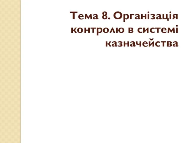 Тема 8. Організація контролю в системі казначейства