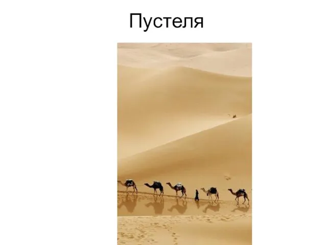 Пустеля