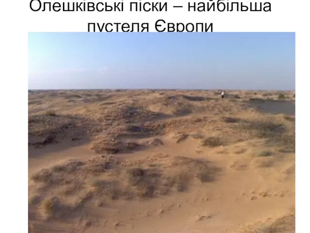 Олешківські піски – найбільша пустеля Європи