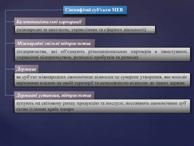 Специфічні суб’єкти МЕВ Багатонаціональні корпорації (міжнародні за капіталом, управлінням та