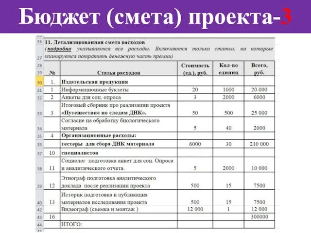 Бюджет (смета) проекта-3