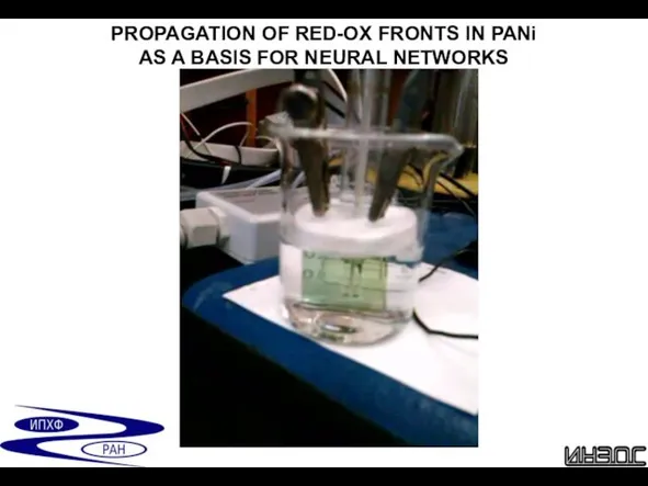 PROPAGATION OF RED-OX FRONTS IN PANi AS A BASIS FOR NEURAL NETWORKS