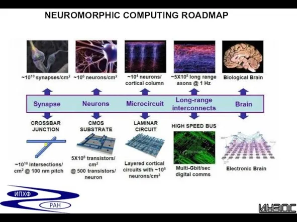 NEUROMORPHIC COMPUTING ROADMAP