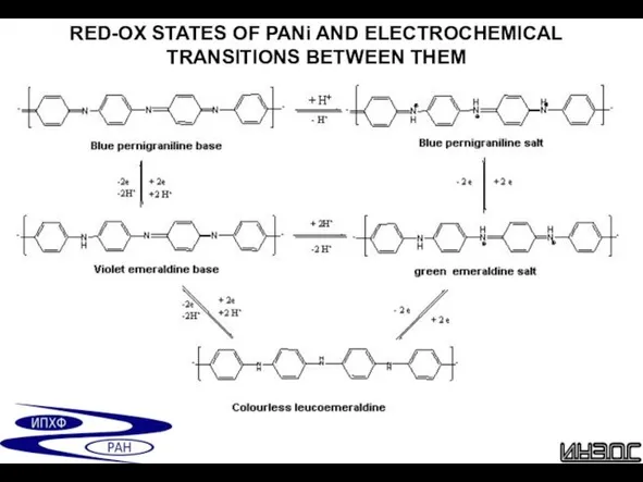 RED-OX STATES OF PANi AND ELECTROCHEMICAL TRANSITIONS BETWEEN THEM