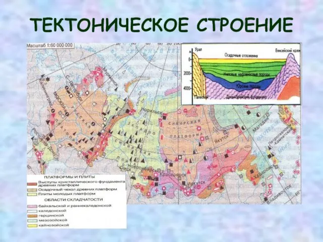 ТЕКТОНИЧЕСКОЕ СТРОЕНИЕ