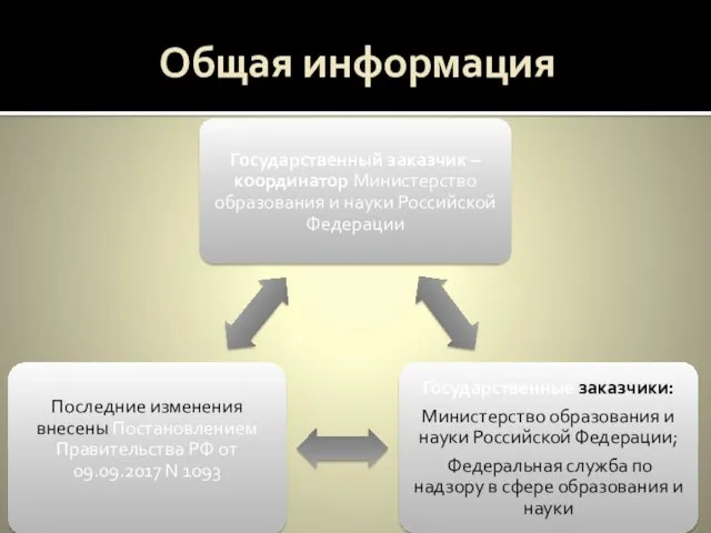 Общая информация