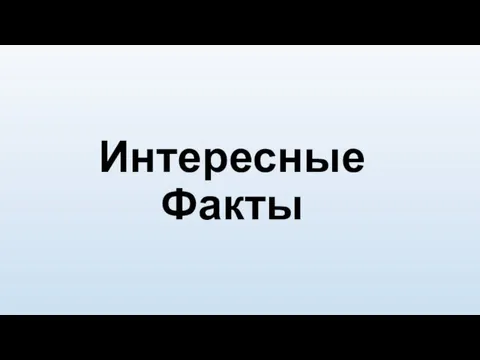 Интересные Факты