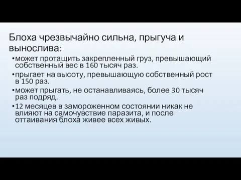 Блоха чрезвычайно сильна, прыгуча и вынослива: может протащить закрепленный груз,