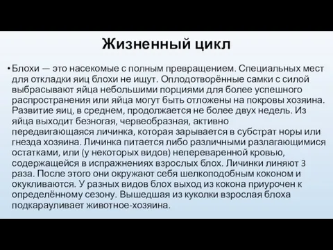 Жизненный цикл Блохи — это насекомые с полным превращением. Специальных