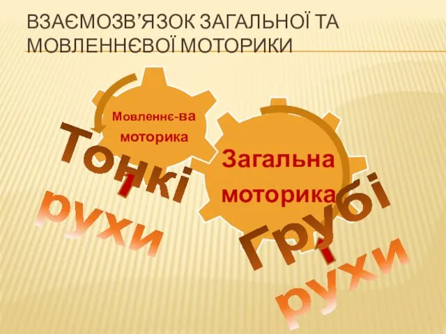 ВЗАЄМОЗВ’ЯЗОК ЗАГАЛЬНОЇ ТА МОВЛЕННЄВОЇ МОТОРИКИ Тонкі рухи Грубі рухи