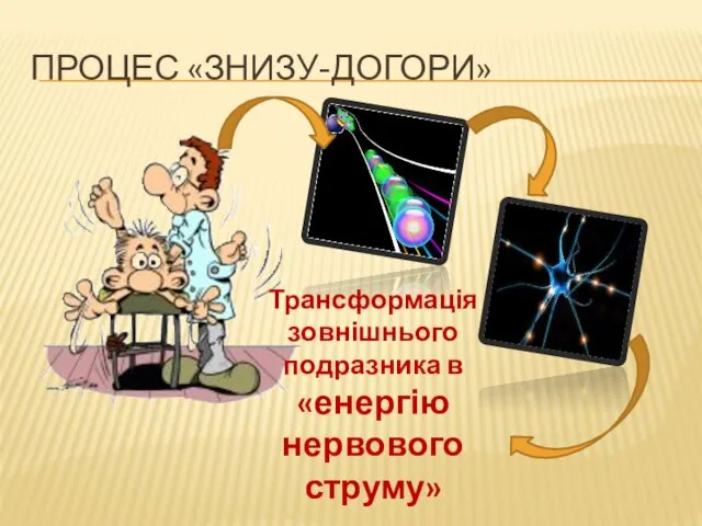 Трансформація зовнішнього подразника в «енергію нервового струму» ПРОЦЕС «ЗНИЗУ-ДОГОРИ»