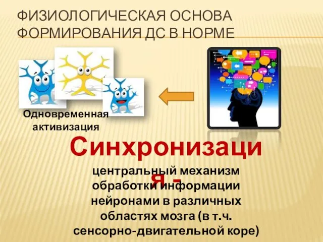 ФИЗИОЛОГИЧЕСКАЯ ОСНОВА ФОРМИРОВАНИЯ ДС В НОРМЕ Одновременная активизация Синхронизация -