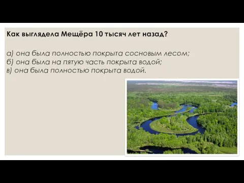 Как выглядела Мещёра 10 тысяч лет назад? а) она была