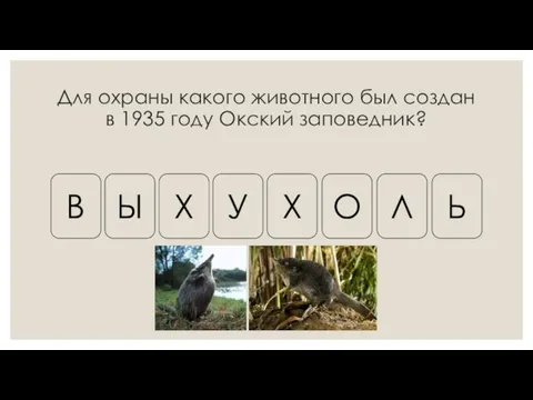 Для охраны какого животного был создан в 1935 году Окский