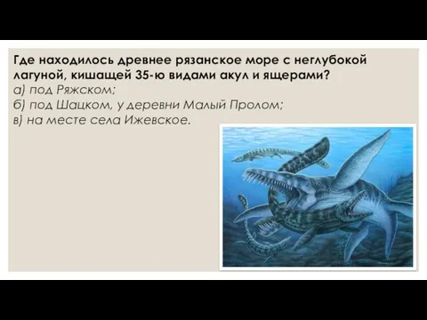 Где находилось древнее рязанское море с неглубокой лагуной, кишащей 35-ю