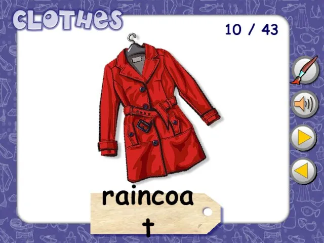 10 / 43 raincoat