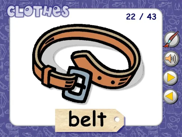 22 / 43 belt