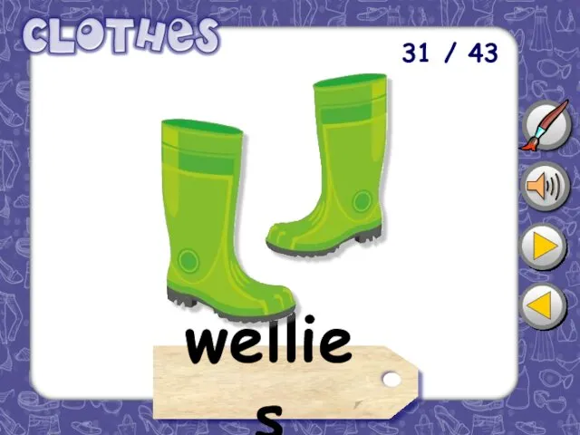 31 / 43 wellies