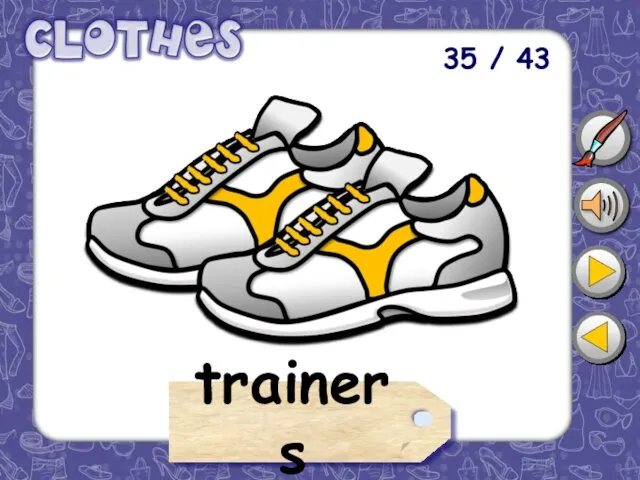 35 / 43 trainers