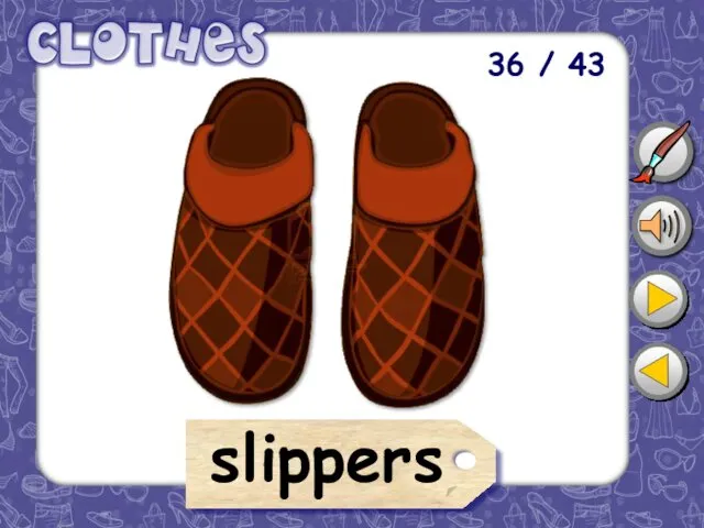36 / 43 slippers