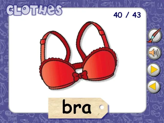 40 / 43 bra