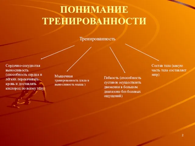 ПОНИМАНИЕ ТРЕНИРОВАННОСТИ Тренированность Сердечно-сосудистая выносливость (способность сердца и лёгких перекачивать