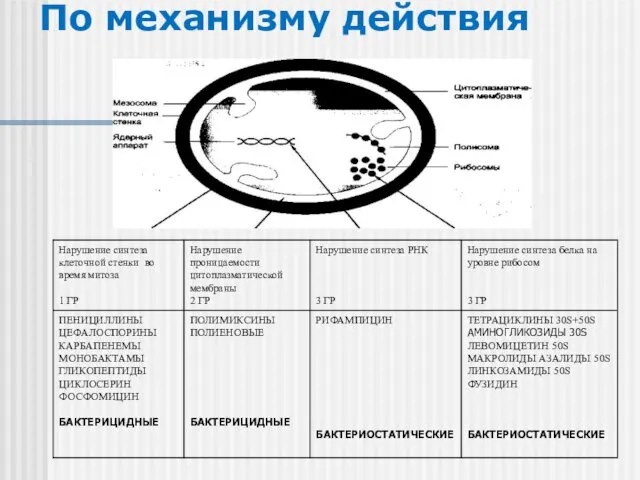 По механизму действия