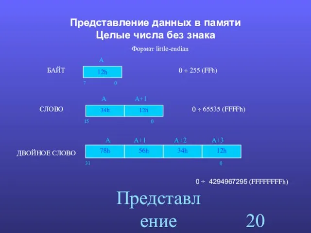 Представление данных Представление данных в памяти Целые числа без знака