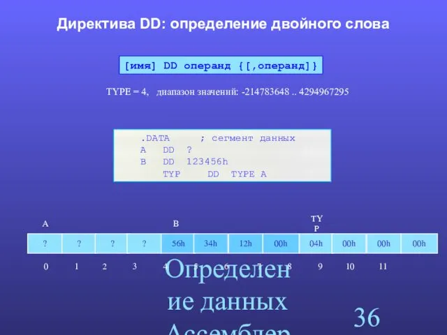 Определение данных Ассемблера Директива DD: определение двойного слова TYPE =