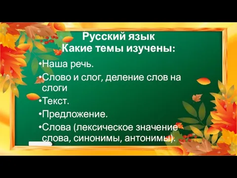 Русский язык Какие темы изучены: Наша речь. Слово и слог, деление слов на