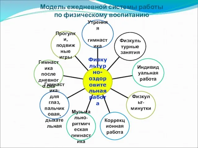 Модель ежедневной системы работы по физическому воспитанию