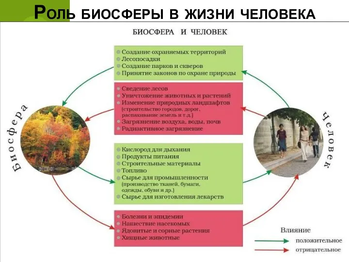 Роль биосферы в жизни человека