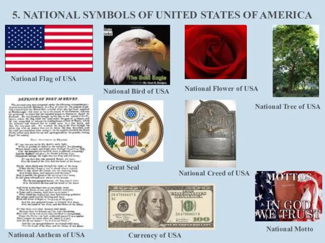 5. NATIONAL SYMBOLS OF UNITED STATES OF AMERICA National Flag