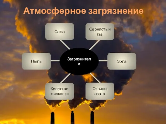 Атмосферное загрязнение Загрязнители Сернистый газ Зола Капельки жидкости Оксиды азота Сажа Пыль