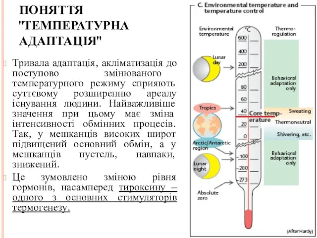 ПОНЯТТЯ "ТЕМПЕРАТУРНА АДАПТАЦІЯ" Тривала адаптація, акліматизація до поступово змінюваного температурного