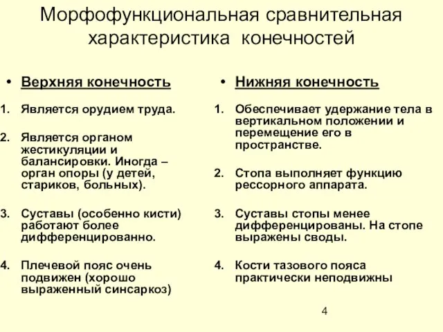 Морфофункциональная сравнительная характеристика конечностей Верхняя конечность Является орудием труда. Является