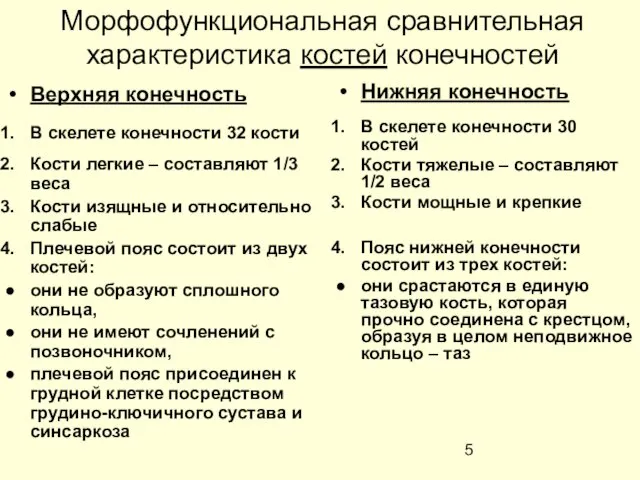 Морфофункциональная сравнительная характеристика костей конечностей Верхняя конечность В скелете конечности