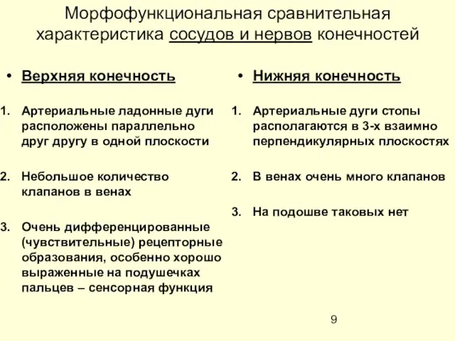 Морфофункциональная сравнительная характеристика сосудов и нервов конечностей Верхняя конечность Артериальные