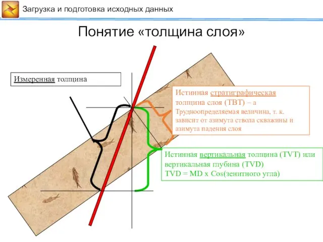 Сейсмические данные Загрузка и подготовка исходных данных Измеренная толщина Истинная