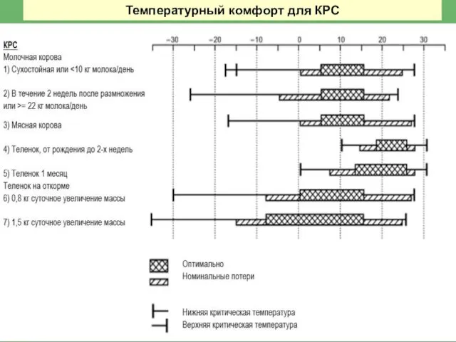 Температурный комфорт для КРС