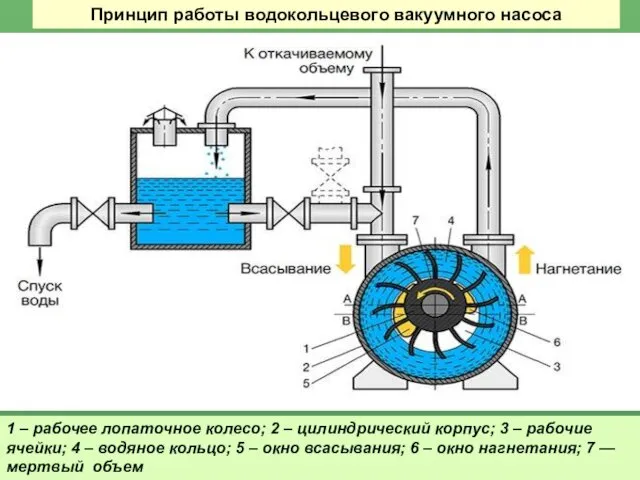 Принцип работы водокольцевого вакуумного насоса 1 – рабочее лопаточное колесо; 2 – цилиндрический
